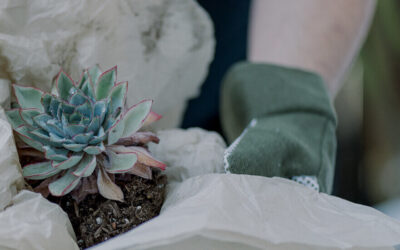 Landscape Design in West Michigan: How to Create an Outdoor Space That Fits Your Lifestyle